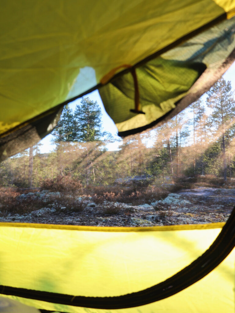 Tagesausflug ab Östersund: Bushcraft Kurs für Anfänger und draußen kochen in Schweden.