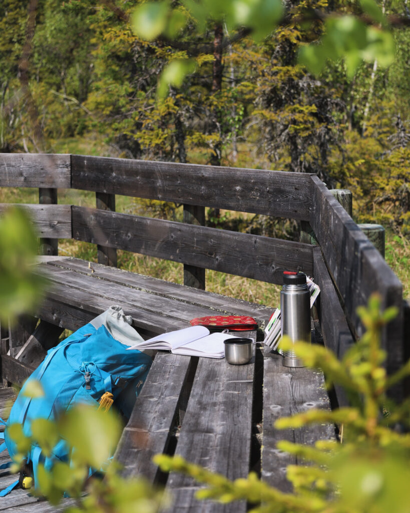 What to do in northern Sweden