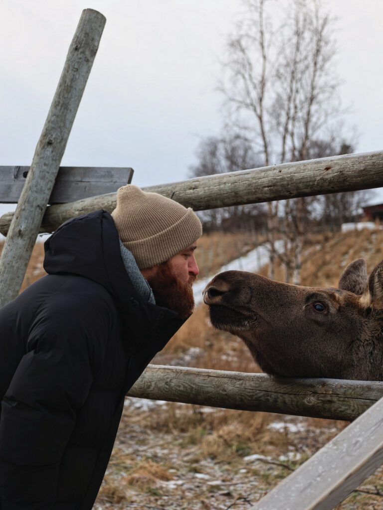 What to do in Östersund