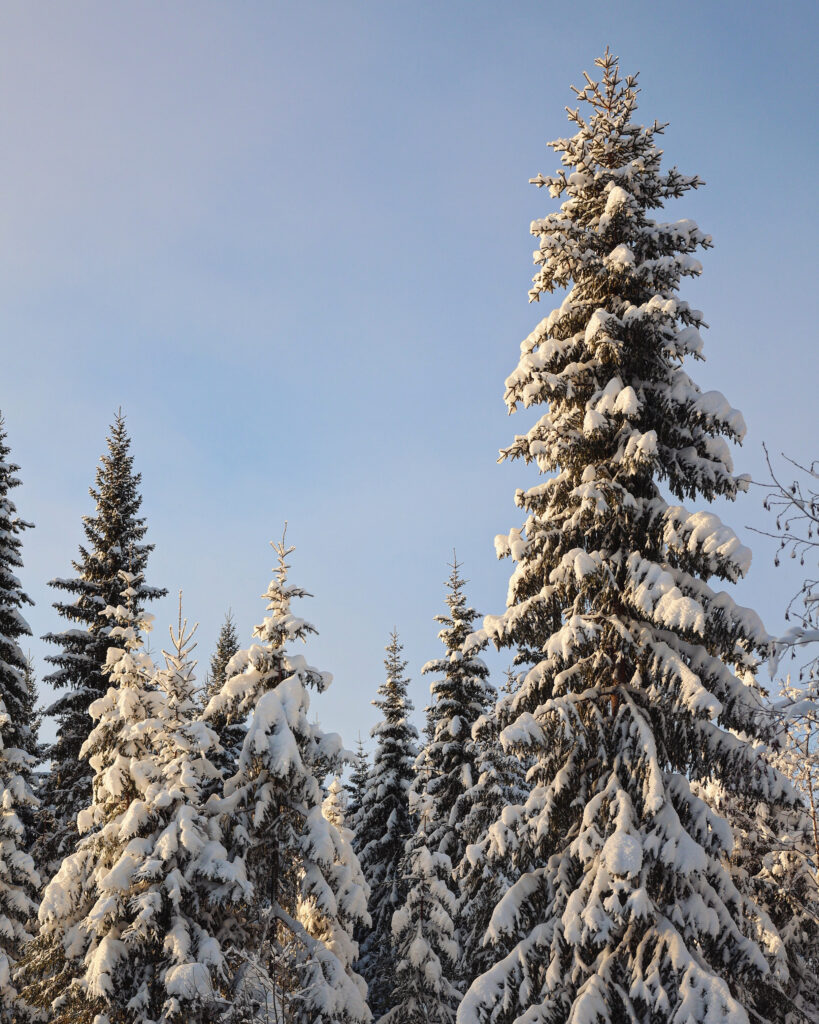 Sweden winter packing list