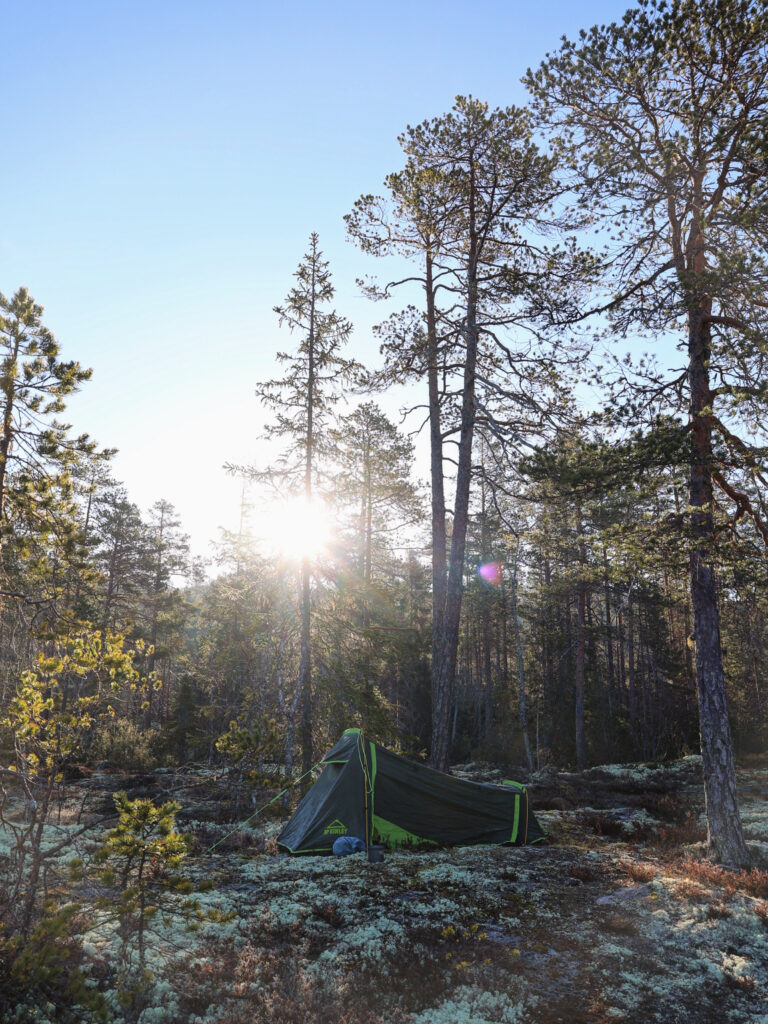 Wildniskurs für Frauen und FLINTA in Schweden mit weiblichen Guides