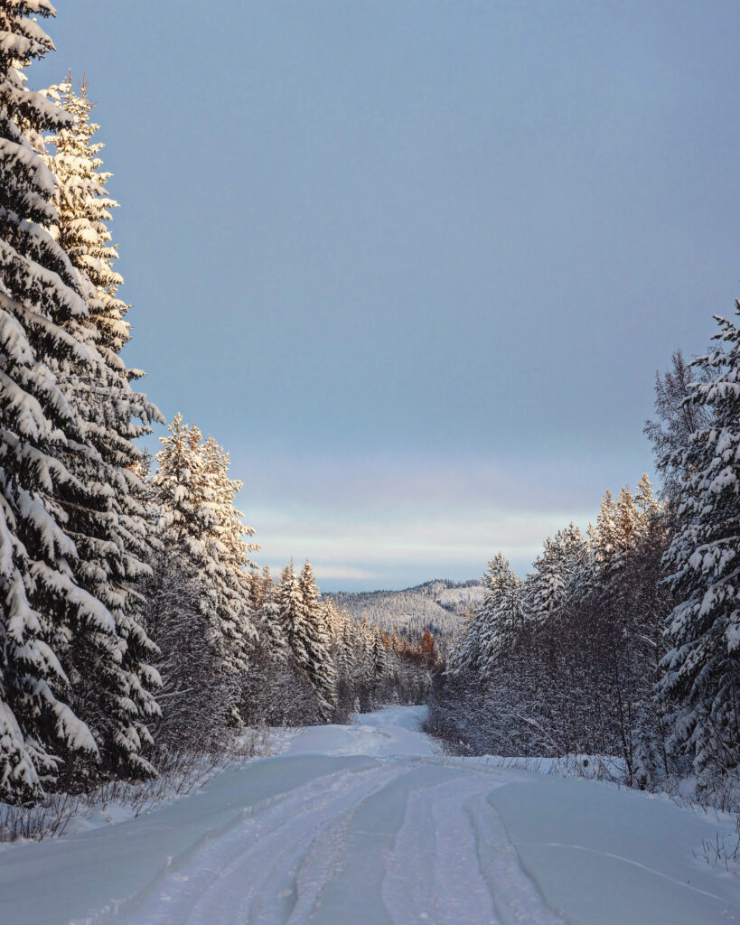 Winter Tour Österund