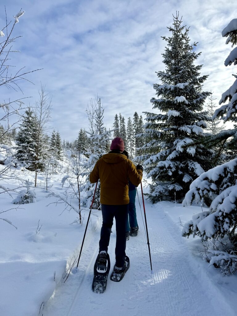 Schneeschuhtour bei Östersund buchen