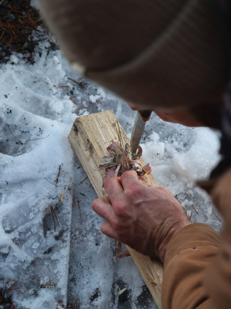 vinter bushcraft kurs i närheten av Östersund