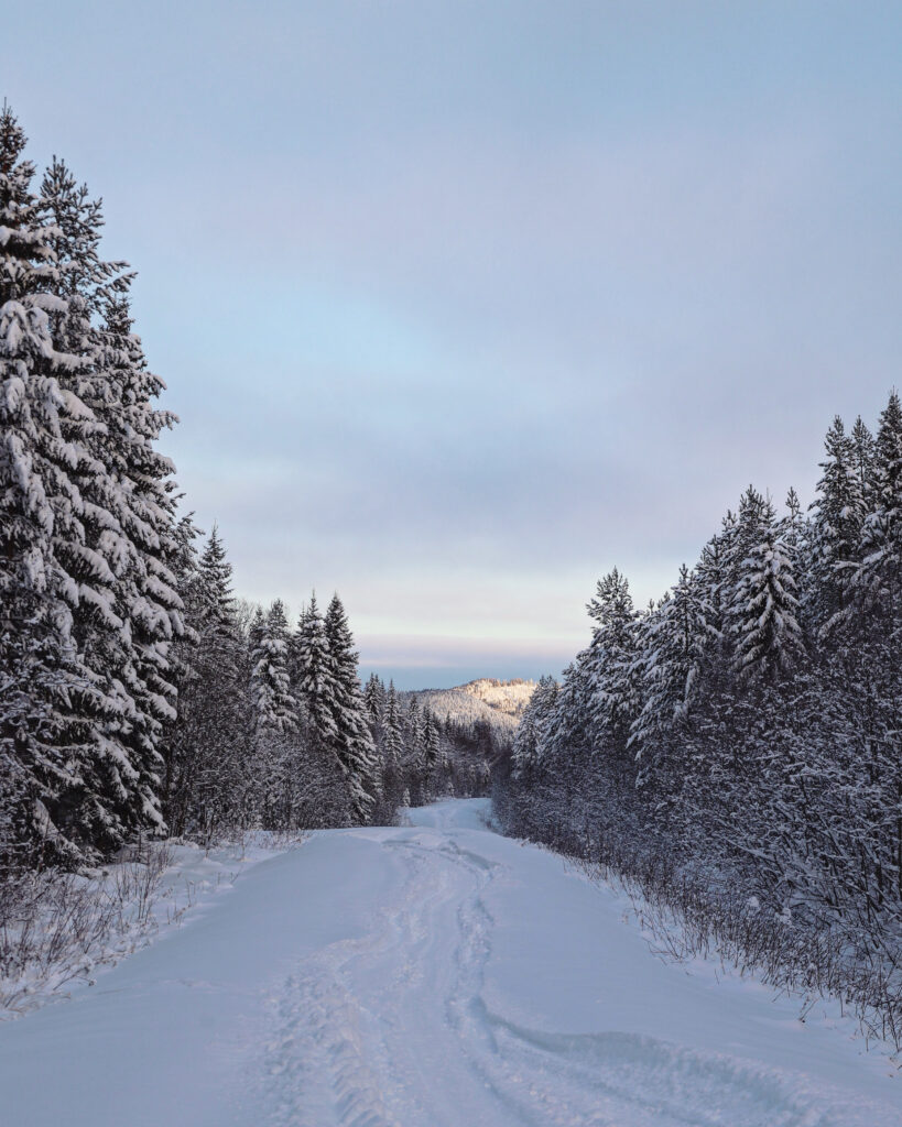 winter holiday in sweden